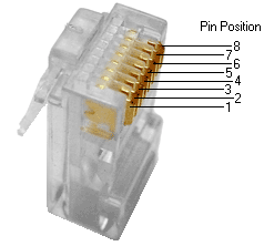 Rj45plug-8p8c.png